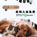 毛小孩的理想家 - 寵物入住活動