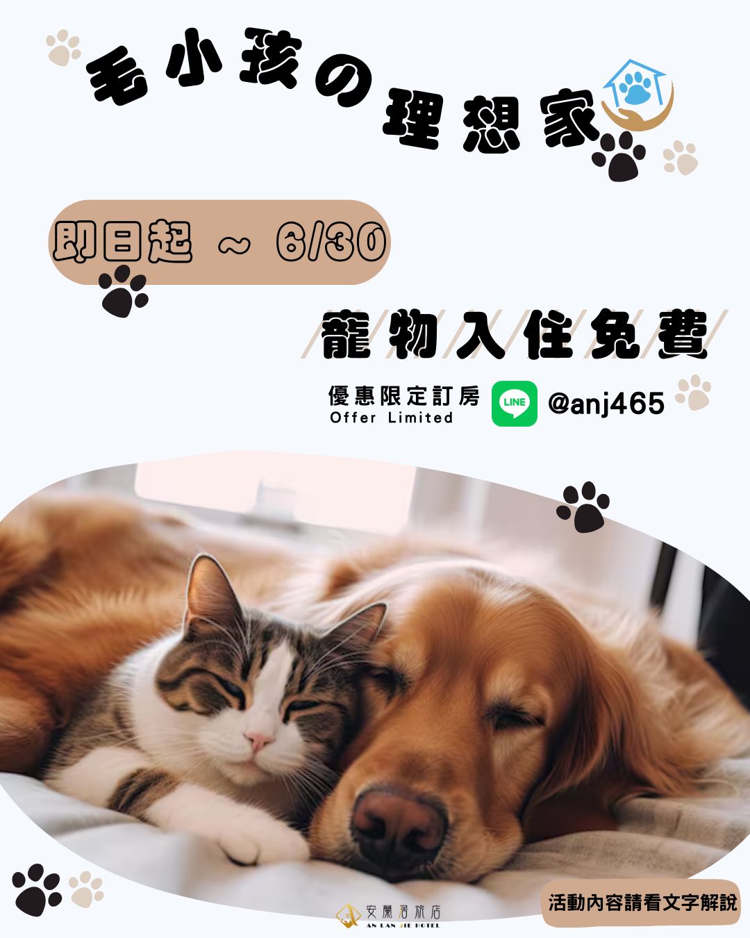 毛小孩的理想家 - 寵物入住活動