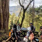 巨木群外看雲海 Sacred Tree Trip Alishan