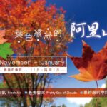【秋】賞楓到阿里山！