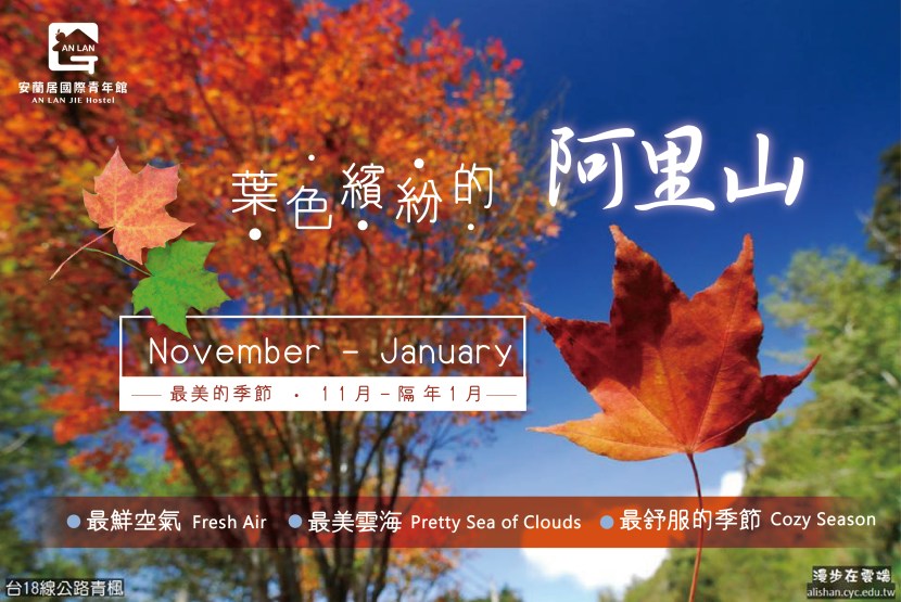 【秋】賞楓到阿里山!