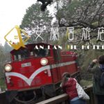 2023阿里山櫻花季